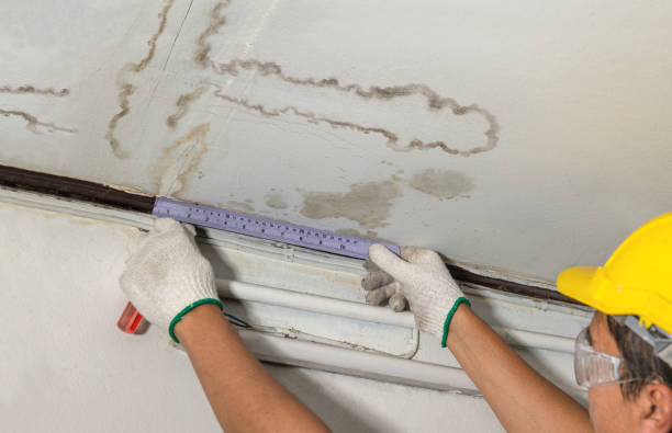 Reliable Mold Remediation contractor in Reading, MA by Water Damage Irwin